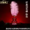Dr. Varita de Pluma Suave Sheng En para Jugar con Tubo de Metal Juguete Sexual para Adultos Juguete de Entrenamiento Sm