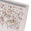 5A Brillantes Tira Larga Circonita Arte de Uñas Pedrería Mini Base Plana Corte Otoño e Invierno Color Champaña Decoraciones para Uñas