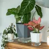 Maceta Absorbente de Agua Automática para Flores Perezosas Venta de Liquidación Plástico Resina Simple Imitación Cerámica Maceta para Plantas Verdes para Suculentas Maceta Hidropónica de Interior