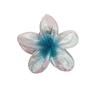 Europeu e Americano transfronteiriço cor glitter ovo flor grampo de cabelo flor pinça lateral das mulheres meia garra de volta cabeça tubarão clipe