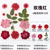 Marcadores de Libros de Flores Secas, Espécimenes de Plantas, Película de Sellado de Plástico, Colección Otoñal de Hojas de Arce, Materiales para Manualidades, Pegatinas Transparentes de Hojas, Borlas