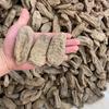 Wutong Tianma 32 cabeças pequena barragem de grama origem atacado fornecimento em primeira mão Zhaotong Tianma produtos secos a granel grande quantidade e preço excelente