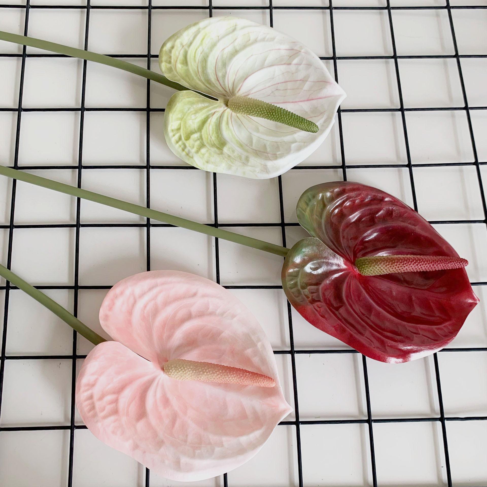 QQ图片20200809102922