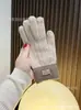 Guantes de Punto de Alpaca Transfronterizos para Pantalla Táctil para Mujer de Dedos Completos Calientes Engrosados con Forro Polar para Pareja Estilo Coreano Guantes de Invierno para Ciclismo