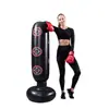 Novo saco de pancadas inflável infantil de desenho animado transfronteiriço, equipamento de boxe para alívio de estresse para uso doméstico, coluna de boxe inflável de PVC