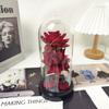 Cubierta de Cristal del Principito Dos Adornos de Rosa Simulada Regalo Creativo para el Día de la Madre o San Valentín Flores Eternas al por Mayor