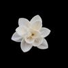 En stock al por mayor Flor de Dahlia Tongcao de 5 cm Decoración del hogar Flor Seca Simulada Flor Difusora de Aromaterapia sin Llama