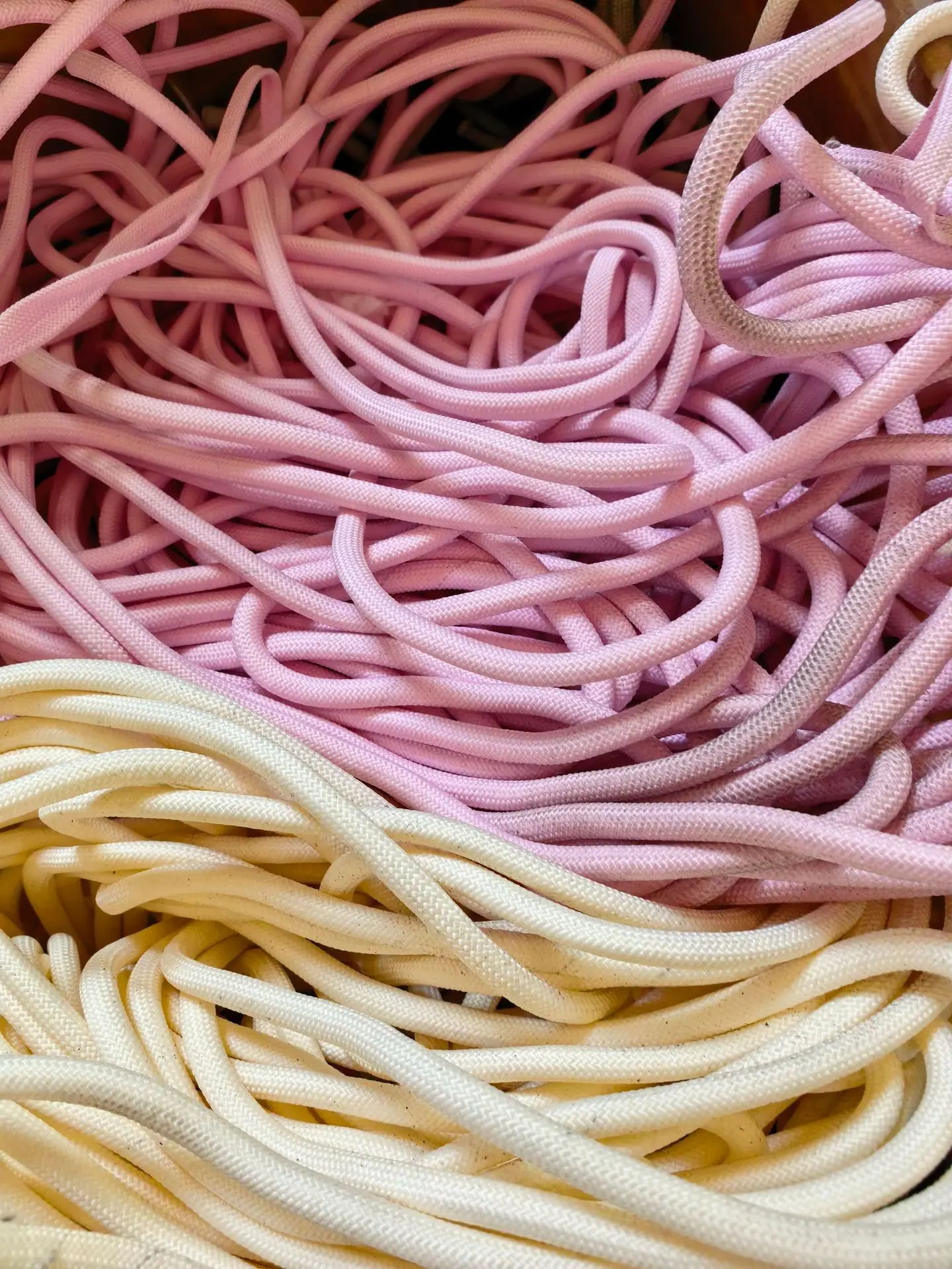 微信图片_20260505140438_4858_129