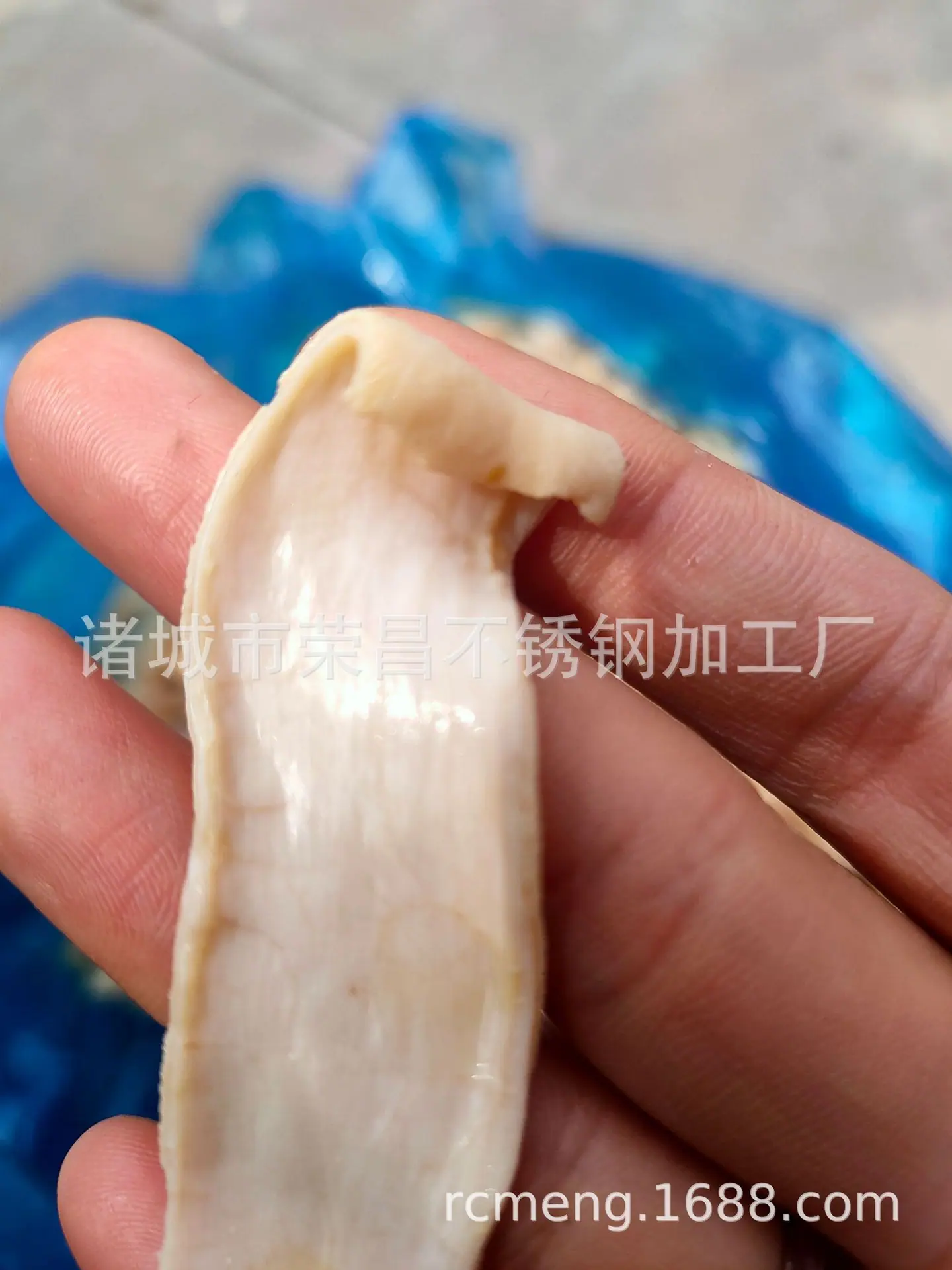 微信图片_20210526093543