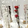 Decoraciones Rama Única Embalaje de Cartón Lujo Ligero Nórdico Tubo de Ensayo de Flor Seca Interior Hecho a Mano Adornos Decoraciones Regalo