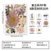 Materiales DIY de relieve de flor seca, marco de fotos de flor prensada de resina de flor real, marcapáginas de espécimen de planta hecho a mano, kit de materiales para pintura de hojas