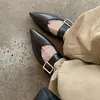 Zapatos bajos de oveja con estampado de serpiente para mujer, zapatos de tacón plano, nuevo modelo de otoño, piel genuina, una correa con hebilla, zapatos Mary Jane de punta, botas de mujer, talla 40