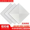 Paneles de Techo de Aluminio 300X300 Ingeniería Techo Integrado Blanco para Estaciones de Metro, Edificios de Oficinas CBD Paneles de Techo de Aluminio 30x30