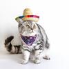 Suprimentos para animais de estimação popular palha mini animal de estimação chapéu de palha animal de estimação mexicano chapéu de gato de estimação chapéu de sol