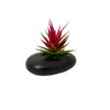 Maceta pequeña plana transfronteriza planta de aloe vera artificial en maceta decoración para interior hogar y oficina escritorio planta suculenta bonsái