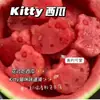 Molde de Gato Kitty Xiaohongshu Cortador de Galletas de Sandía de Grado Alimenticio Herramienta de Prensa DIY para Hornear en Casa