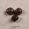 Accesorios de Carrillón de Viento de Cáscara de Fruta de Planta Natural, Materiales DIY Hechos a Mano, Materias Primas de Cascabel de Mano de Cáscara de Fruta, Accesorios de Campana de Cáscara de Fruta