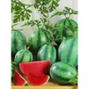 Melancia Artificial Melancia Falsa Modelo de Fruta Brinquedo Adereço Black Beauty Melão Kirin Melancia Grande Decoração de Loja de Frutas