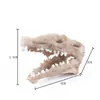 Ornamentos de Aquário Tanque de Peixes Grama Aquática Paisagem Dinossauro Crocodilo Ovelha Resina Crânio Cavalo Vaca Animal Animal de Estimação Sala Crânio