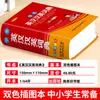 Dicionário de Inglês Edição 2026: Uso Geral para Alunos do Ensino Fundamental II e Médio, Dicionário Bilíngue Especial Inglês-Chinês para Alunos do Ensino Fundamental, Xinhua