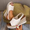 Sandalias de Plataforma con Hebilla de Punta Descubierta y Tacón de Cuña Grueso de Talla Grande Transfronteriza para Mujer, Impermeables, Moda Europea y Americana, para Exterior, Sandalias de Mujer