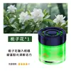 Dropshipping Tarot Años Arena Movediza Coche Aromaterapia Fragancia Ligera Aromaterapia de Aspecto Atractivo Dormitorio Baño Hogar Bálsamo Sólido