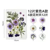Pacote de Material de Flores Secas Espécime de Planta Adesivo de Flor em Relevo Cola para Vela de Aromaterapia DIY Moldura de Foto Saco de Pétalas de Flores Reais