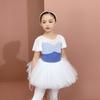 Roupas de Dança para Meninas Manga Curta Azul Claro Roupa de Treino Roupa Body de Verão para Crianças Roupa de Dança Ballet para Exame de Jardim de Infância