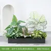[Serie Y80] Decoración de Partición de Planta Verde Simulada Macetero Maceta Valla Paisajística de Plástico Biónico Diseño