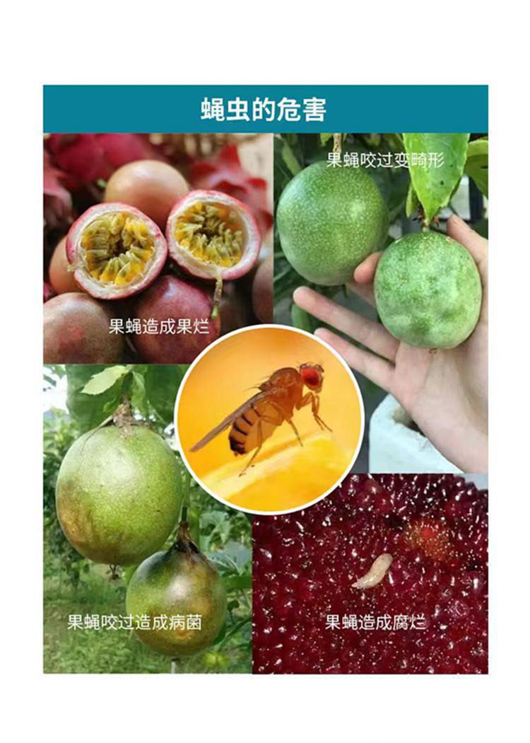 详情9