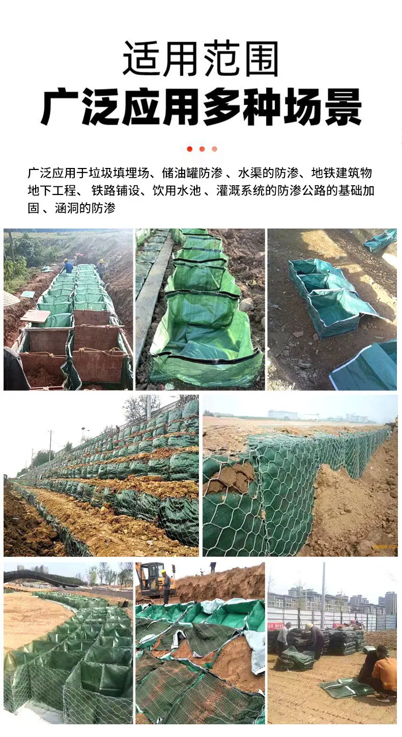 石龙袋_10.jpg