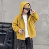 Jaqueta com Capuz para Meninos Primavera e Outono Nova Solta Versátil para Crianças Médias e Grandes Casual Estilo Workwear Tendência Top Roupas de Outono