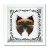 Especimen de Mariposa Real Decoración del Hogar Marco de Fotos de Madera DIY Suministros de Pintura Decorativa Avanzada Regalo Moderno Regalo Creativo