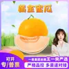 Melón Dorado de Miel de Hainan Dropshipping 3/5/8 Jin Pulpa Amarilla Melón Dulce Caja de Regalo Melón Cantalupo Fruta Fresca Fruta Fresca