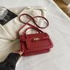 Bolsa pequena portátil de textura simples estilo ocidental nova primavera 2024 bolsa de ombro mensageiro para o trabalho lazer retrô bolsa feminina