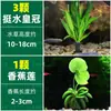Cuenco de Loto de una Hoja Flor Acuática de Loto Planta Hidropónica Balcón Interior Floración Cuatro Estaciones Acuario con Maceta Loto Flotante