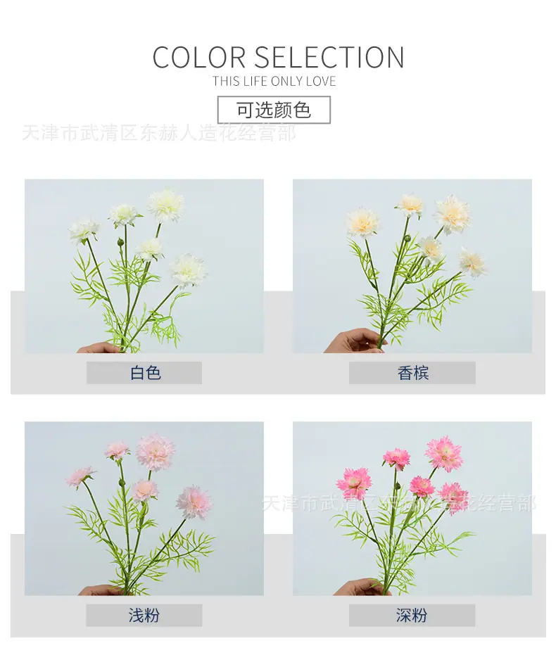 详情_02.jpg