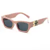 Gafas de Sol Irregulares Estilo Ojo de Gato Modelo Nuevo 2026, Mismo Estilo que Celebridades de Internet Europeas y Americanas, Gafas de Sol Retro para Mujer, Gafas de Sol de Moda