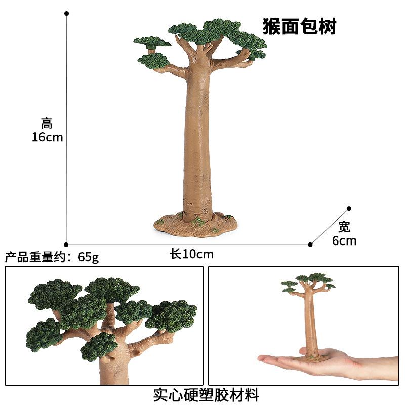 M105猴面包树sku