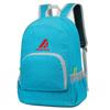Mochila Portátil para Caminhada e Viagem ao Ar Livre Mochila de Grande Capacidade Espessa de Agência de Viagens Mochila de Montanhismo para Homens e Mulheres com Logo Impresso