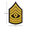 Chaqueta bomber táctica bordada estilo militar con diseño de abanico, estilo Eaulets US. Parche de tela bordado con velcro para brazalete con insignia de nivel militar