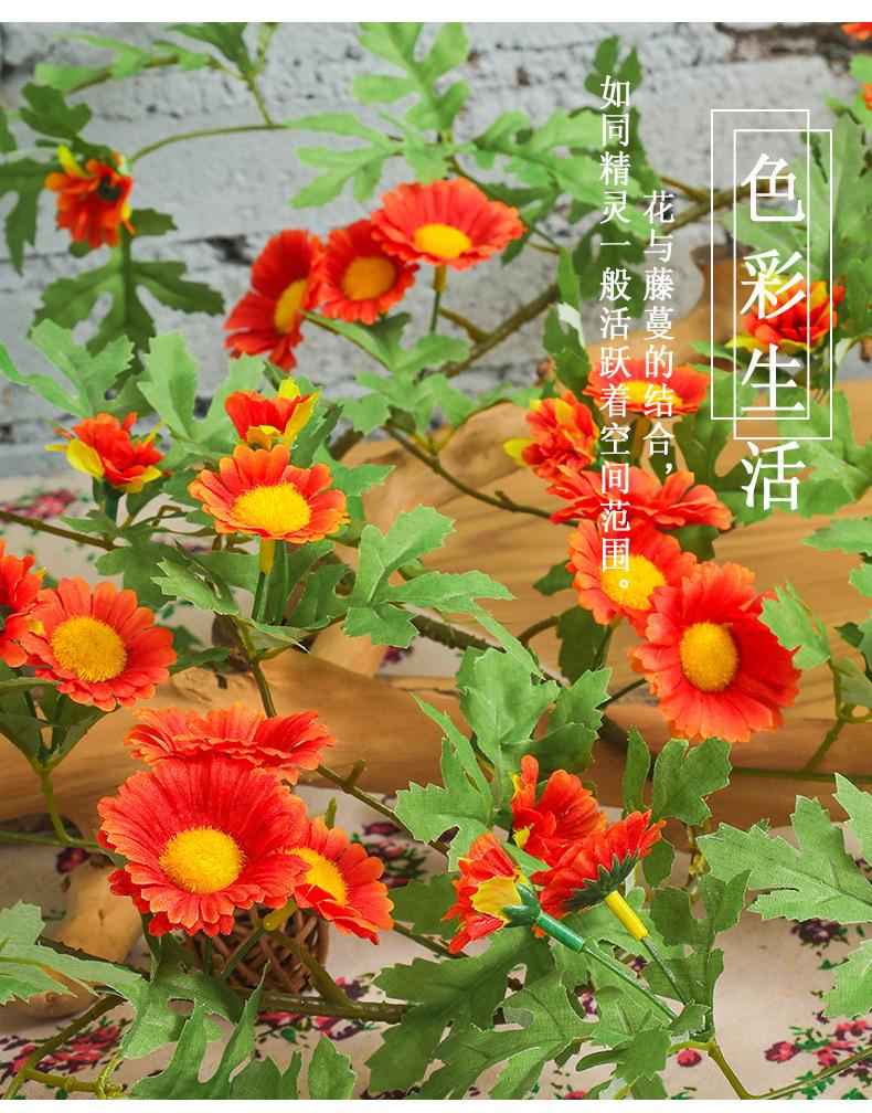 未标题-1_03.jpg