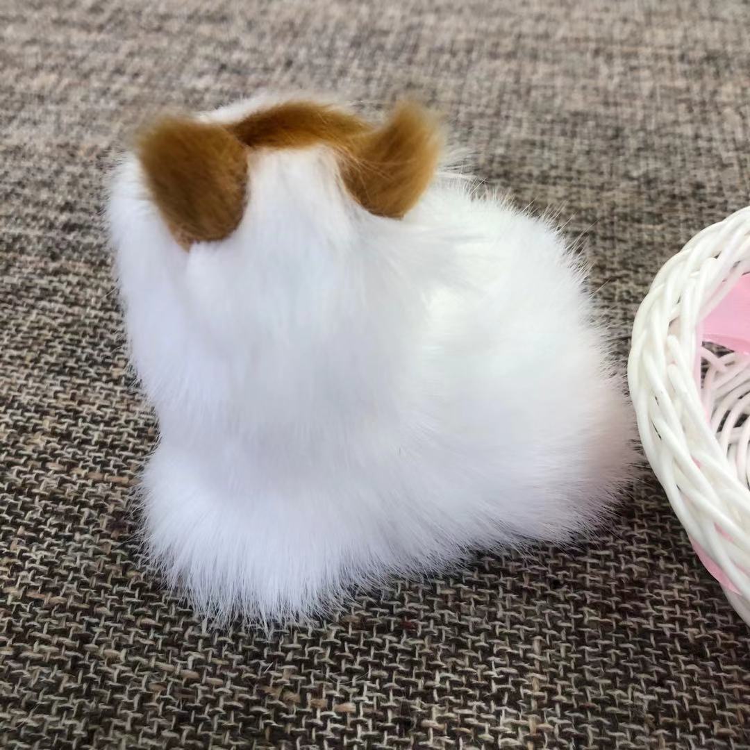 小圆框兔子和猫，和叫猫