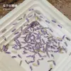 Novo Azul Pavão Fundo Plano Longo Gota D'água Unha Arte Diamante Flash Luz Azul Lagoa Fina Gota D'água Forma Especial Unha Diamante Decoração Atacado