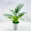 Planta Envasada Simulada, Bonsai de Flor Falsa, Bonsai de Planta Verde Simulada, Ornamento de Flor Artificial, Planta Envasada de Folha de Ficus Simulada 2022
