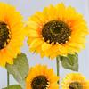 Simulación Día de Abril Girasol Girasol Flor Falsa Flor de Seda Sala de Estar Piso Rama Alta Flor Escenario de Actuación