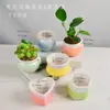 6 Vasos de Flores Cerâmicos Frescos Carnudos com Esmalte de Fluxo de Luz Brilhante para Casa, Escritório, Desktop, Combinação de Plantas Verdes