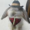 Conejo Mascota, Cobaya, Cobaya, Chinchilla, Sombrero de Erizo, Sombrero Pequeño, Sombrero de Vaquero, Babero, Toalla Triangular Transformación