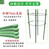 Enrejado para Plantas Trepadoras Estructura de Soporte para Jardinería Plantas Verdes de Balcón Rosa Clemátide Planta Enredadera Flor Planta Soporte para Flores Trepadoras