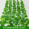 Enredadera Parthenocissus Uva Hoja de Vid Verde Pegada con Goma Decoración de Vid Falsa para Enrollar Tubería Enredadera Verde Plantas Verdes Plantas de Hojas Verdes